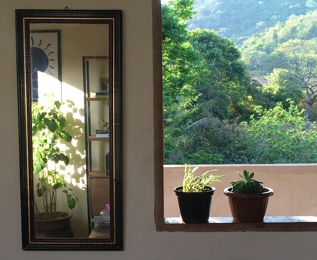 Consultório Ana Emilia Costa